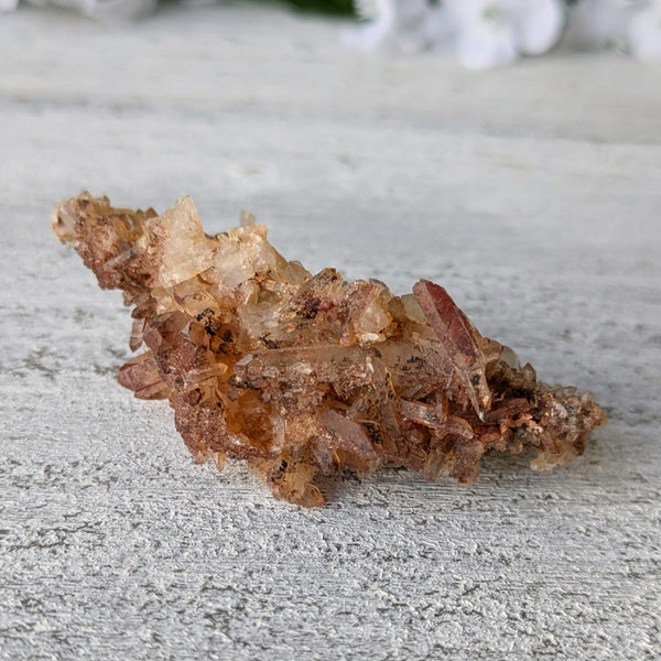 Red River Quartz Crystal Cluster - 001