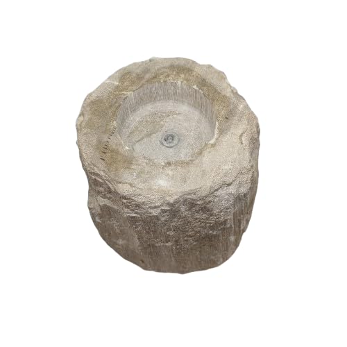 Hand Carved Petrified Wood Crystal Tealight Holder UK - Fossils - Unique Gifts - Fossilized Wood Candle Holder