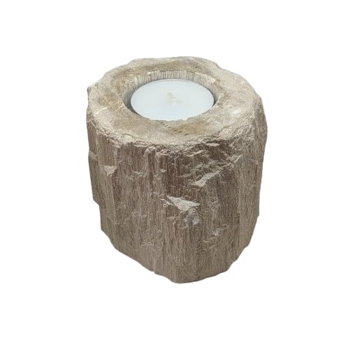 Hand Carved Petrified Wood Crystal Tealight Holder UK - Fossils - Unique Gifts - Fossilized Wood Candle Holder