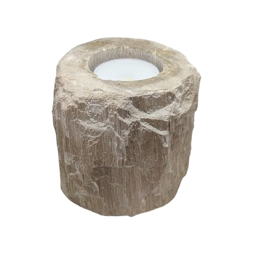 Hand Carved Petrified Wood Crystal Tealight Holder UK - Fossils - Unique Gifts - Fossilized Wood Candle Holder