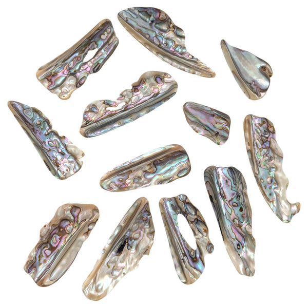 A collection of natural abalone shell pieces with iridescent pearlescent patterns in shades of silver, gray, beige, and hints of pink, purple, and green.