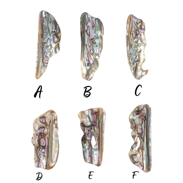 Six irregular abalone shell pieces displaying the natural iridescent coloration.
