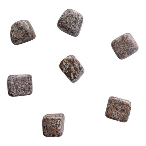 Chocolate Snowflake Obsidian crystals featuring earthy tones. 