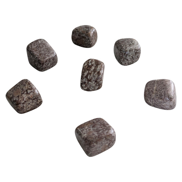 Tumbled Brown Snowflake Obsidian Gemstones measuring 20-30mm.