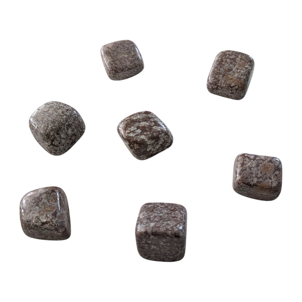 Tumbled Brown Snowflake Obsidian Gemstones measuring 20-30mm.
