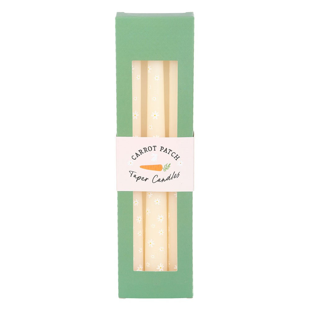 Set of Three Carrot Patch Daisy Taper Candles