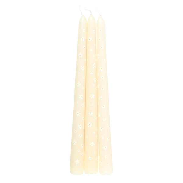 Set of Three Carrot Patch Daisy Taper Candles