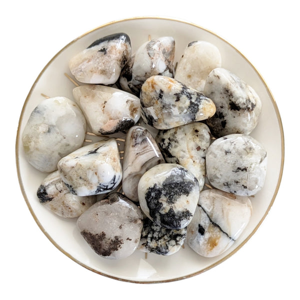 Cassiterite Crystal Tumblestones 20-30mm