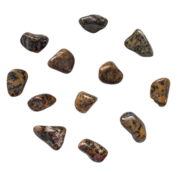 Cheetah Agate Tumblestone