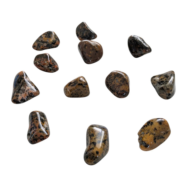 Cheetah Agate Tumblestone