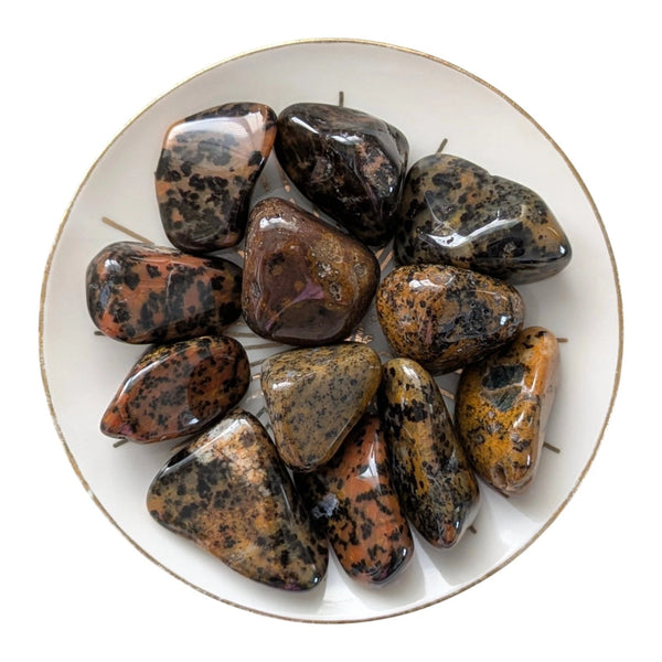 Cheetah Agate Tumblestone