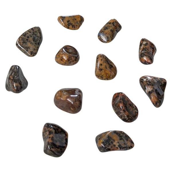 Cheetah Agate Tumblestone