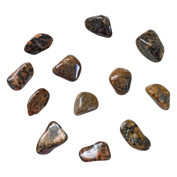 Cheetah Agate Tumblestone