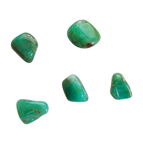Polished chrysoprase gemstones with white and brown inclusions