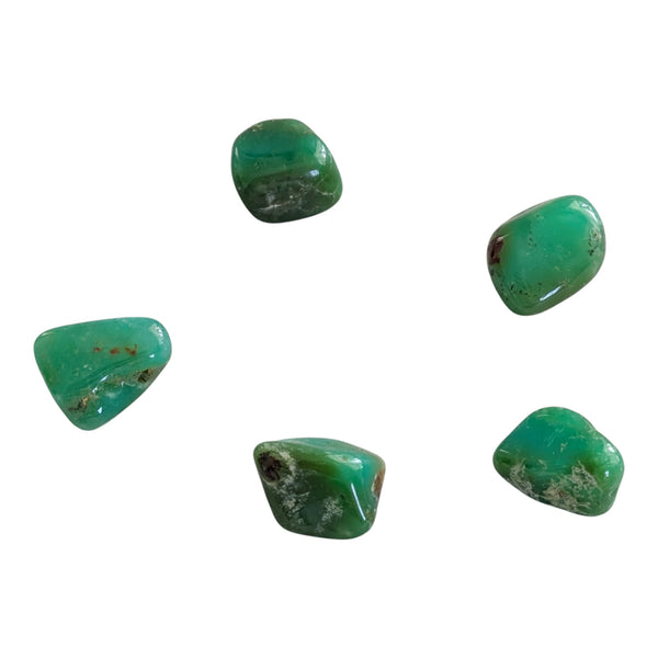Chrysoprase tumblestones measuring 20-25mm, in apple green tones. 