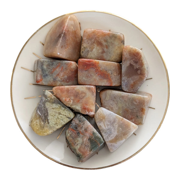 Polished Coprolite Tumbled Stones on a white gold rimmed dish sat on a white background