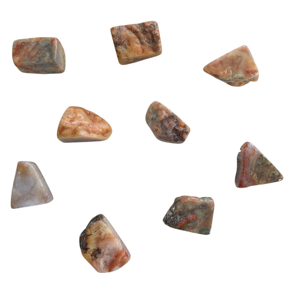 Tumbled Coprolite Stones 20-30mm - Dinosaur Poo!