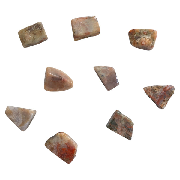 Tumbled Dinosaur Poo Stones