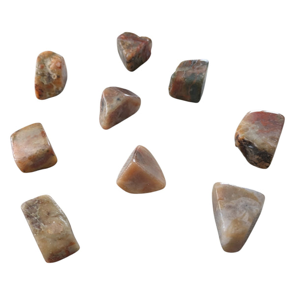 Coprolite Tumblestones scattered on a white background