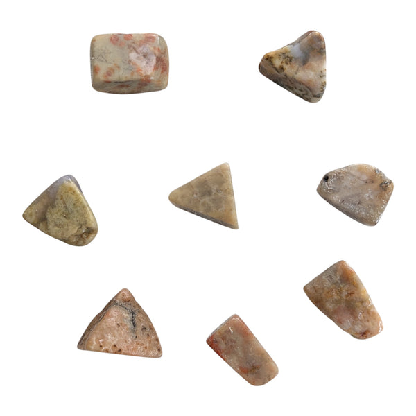 Polished Dinosaur Poo Stones 20-30mm