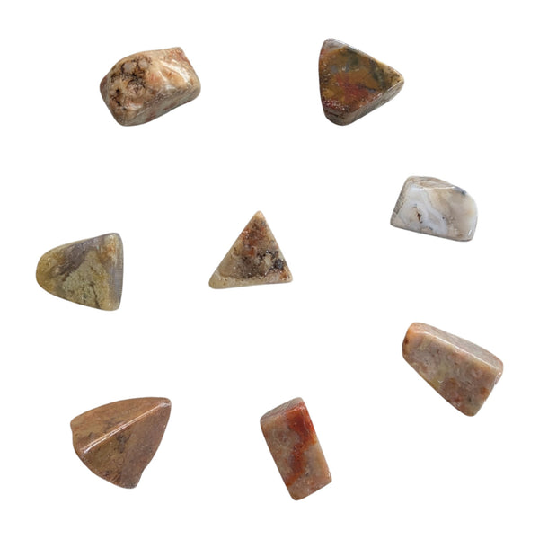 Coprolite stones showing red, beige, brown, white  and green hues
