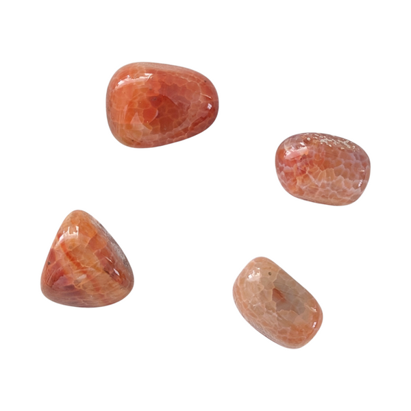 Snakeskin Carnelian gemstones measuring 20-30mm.
