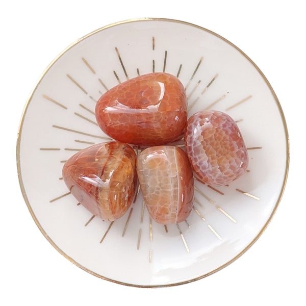 Fire Agate crystal tumblestones in bright orange colouring with detailed snakeskin patterning. 