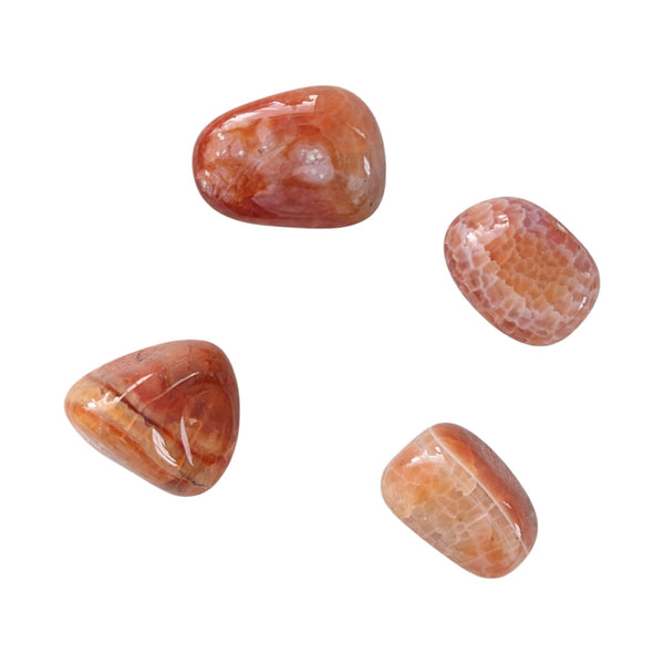 Medium sized polished fire agate tumblestones