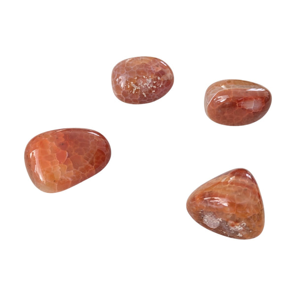 Unique patterning fire agate tumbled stones.