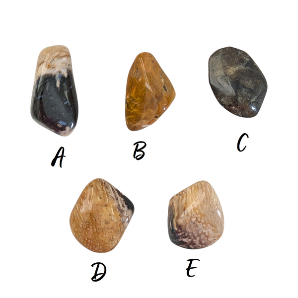 fossil palm wood polished tumbled stones