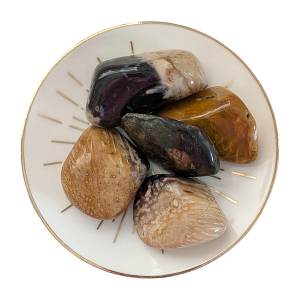 Fossilized palm wood crystal tumblestones