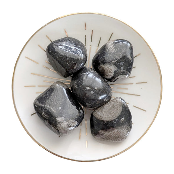 Frosterley Marble crystal tumblestones 