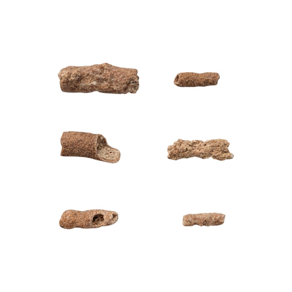 Fulgurites (Lightning Stones) Set of 6