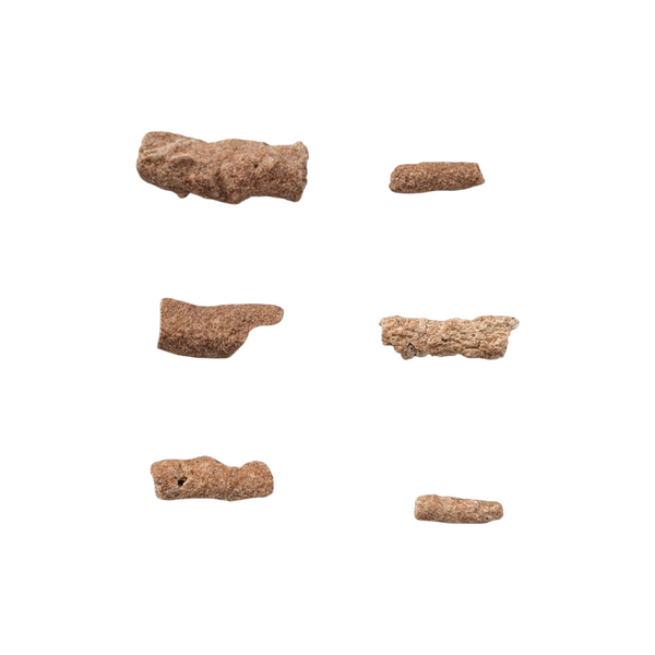 Fulgurites (Lightning Stones) Set of 6