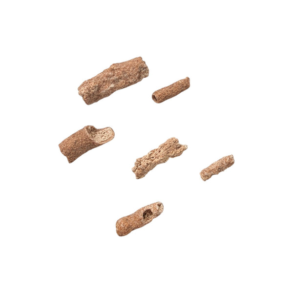 Fulgurites (Lightning Stones) Set of 6