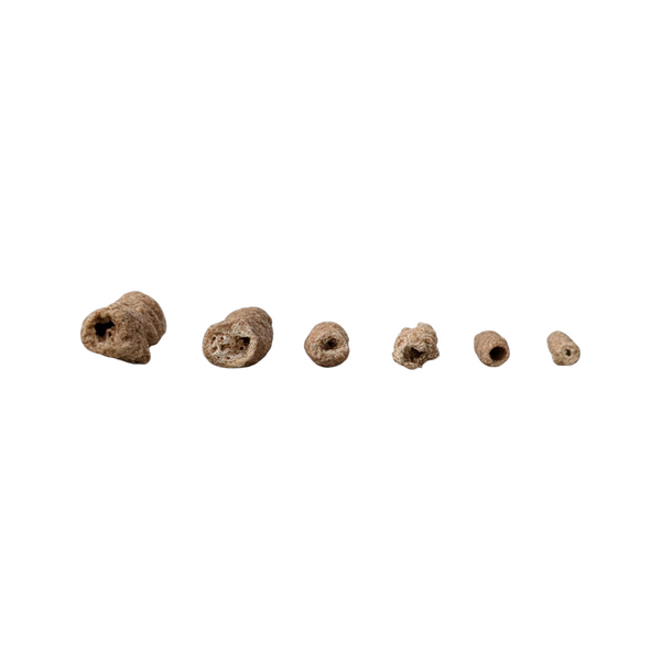 Fulgurites (Lightning Stones) Set of 6