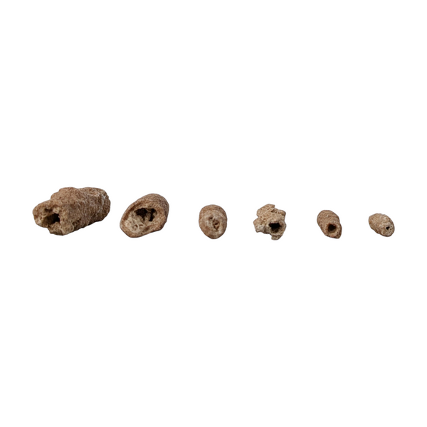 Fulgurites (Lightning Stones) Set of 6