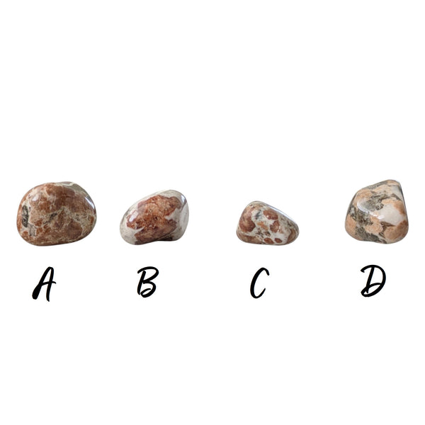 Garnet in Limestone Tumblestone