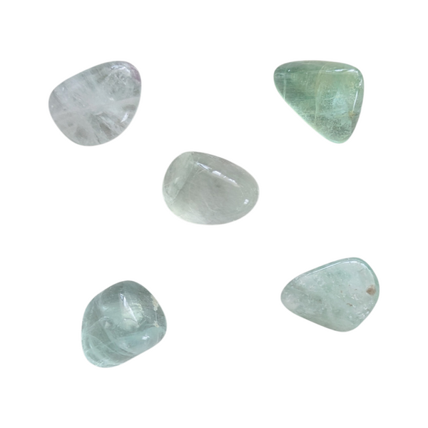 Polished Green Fluorite Tumbled Stones 20-30mm