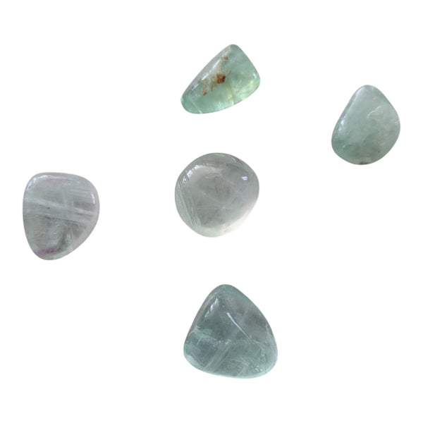 Green Fluorite Crystals measuring 20-30mm