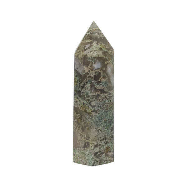 Polished Green Moss Agate Generator showing moss like inclusions
