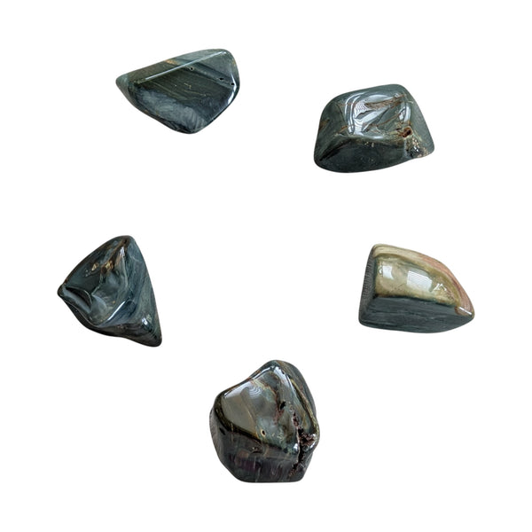 Polished Green Fossilized Wood stones measuring 20-30mm.