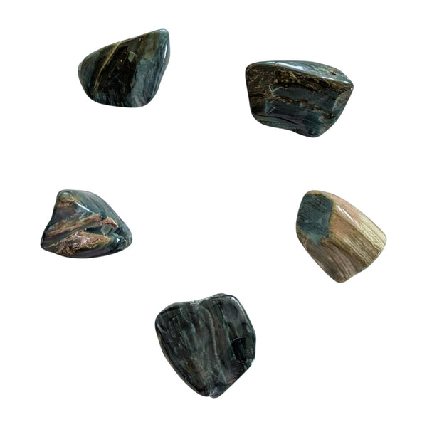 Tumbled Fossilised Wood stones in green hues 