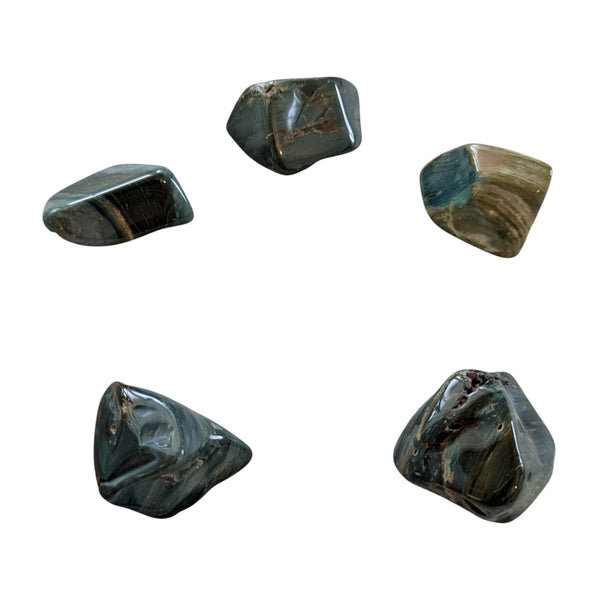 Small green petrified wood tumblestones measuring 20-30mm