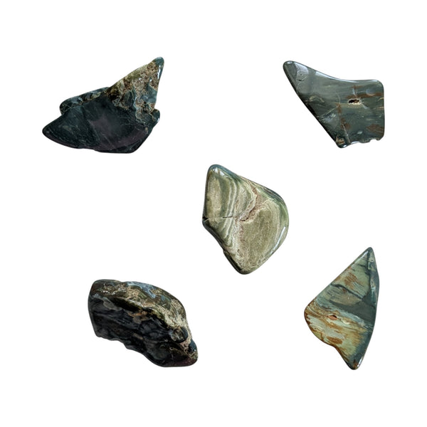Tumbled Green Petrified Wood stones measuring 30-40mm