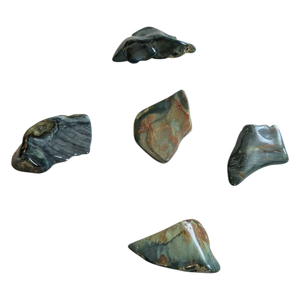 Large rare green petrified wood tumbled stones measuring 30-40mm.