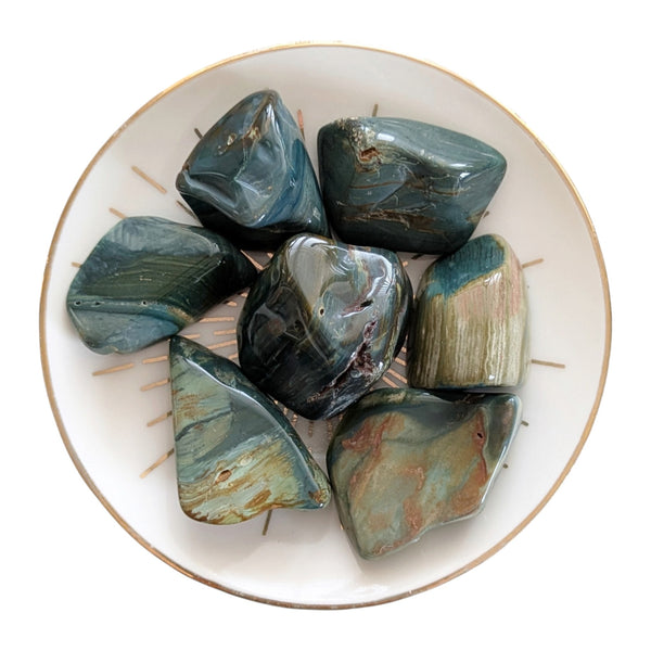Rare Green Petrified Wood Tumbled Stones, brown and green hues, line detailing on a dish against a white background