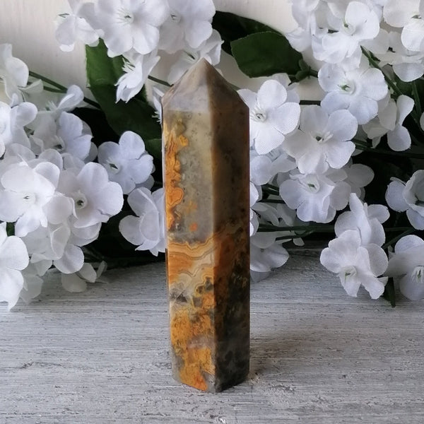 Crazy Lace Agate Generator Point