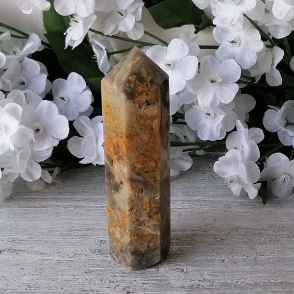 Crazy Lace Agate Generator Point
