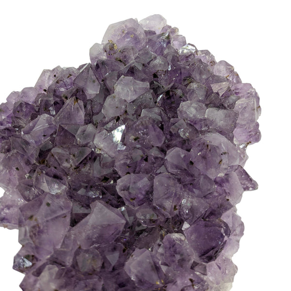 Amethyst Cluster Specimen (XL Brazilian)